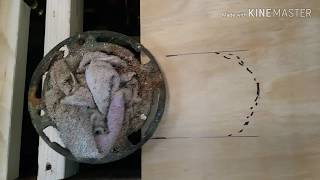 Fix rotting floor under toilet [upl. by Arries]