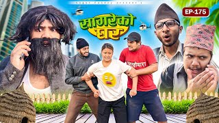 सागरेको घर “Sagare Ko Ghar”Episode 175॥New nepali Comedy Serial॥By Sagar pandey॥6 december 2024॥ [upl. by Malsi]