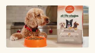 Canidae All Life Stages  Great Nutrition For MultiDog Families [upl. by Glinys]