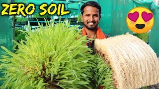 बिना मिट्टी  Organic Farming  90 पानी की बचत  Hydroponics Farming in India  Indian Farmer [upl. by Curran87]