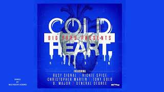 Cold Heart Riddim feat Busy Signal Richie Spice Chris Martin General Degree Sherita D Major [upl. by Clayborne343]