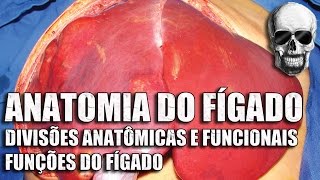 Vídeo Aula 150  Anatomia Humana  Sistema Digestório • Fígado Anatomia funcional e funções gerais [upl. by Tarfe]