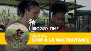 Stop à la maltraitance  DOGGY TIME 16 [upl. by Trilby700]