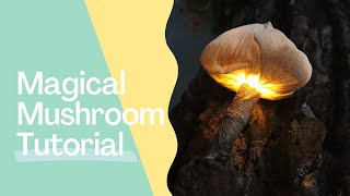 Magical Mushroom Tutorial [upl. by Hueston]