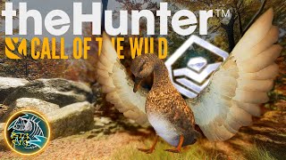 Hunting A DIAMOND Gadwall On Salzwiesen Park BONUS Duck Guide Call Of The Wild TheHunter [upl. by Oswald]