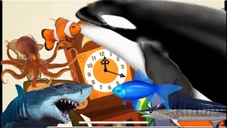 Hickory Dickory dock Orca 🐋 [upl. by Hertzfeld704]