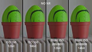 Magic Lantern Test Day Dual ISO 12bit vs 14bit and Normal ISO 12bit vs 14bit [upl. by Vento]