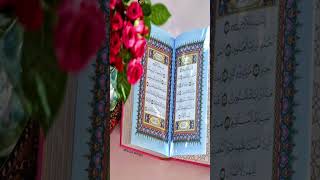 Tilawate quranbesttilawatquran besttilawatquran tilawatequran beautfulquran qurantilawat reels [upl. by Nitniuq963]