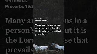 Verse of The Day Proverbs 1921 NIV [upl. by Alvita]