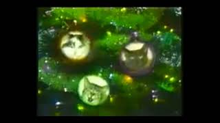 the funny cat cats dancing christmas 2007 [upl. by Ecneret]