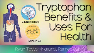 Tryptophan Benefits and Uses [upl. by Arianna]