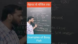 Trick to learn examples of Bony fish  Govind Sir  NEET  AIIMS  Shorts  ytshorts [upl. by Imef]