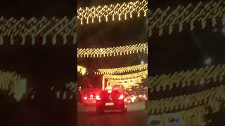 City lights ✨✨ hassanabba cityfestival likesharesubscribe [upl. by Lansing]