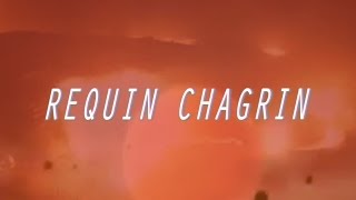 Requin Chagrin RC [upl. by Kendall]