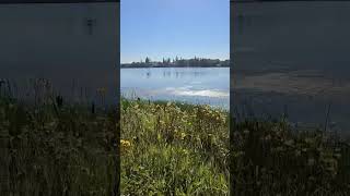 WALKING AT LACOMBE ALBERTAshortvideo [upl. by Armalda170]