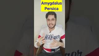 Amygdalus Persica Homeopathic Medicine shorts youtubeshorts [upl. by Nolahc]