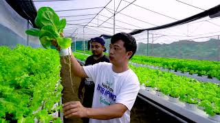 Katanim Goes to Salisi Lettuce Farm [upl. by Richel58]