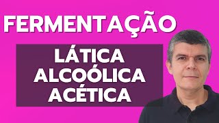 FERMENTAÇÃO LÁTICA ALCOÓLICA E ACÉTICA [upl. by Akimihs]