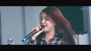 Scimmiaska  Lelah Live 2014 [upl. by Procter182]