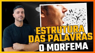 Estrutura das palavras os morfemas do português português morfema estruturadepalavras [upl. by Nehemiah]