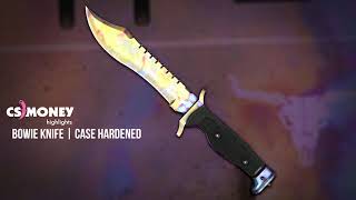 CSGO  Bowie Knife  Case Hardened [upl. by Chlori651]