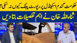 Why The Government Could Not Publish The Report On The Wheat Scandal  Dawn News [upl. by Aloise565]