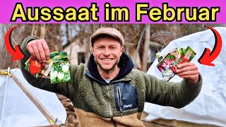 11 Gemüse die Du im FEBRUAR säen kannst 🌱  Aussaat im Frühbeet [upl. by Leziar731]