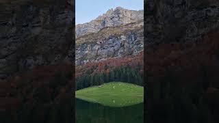 SwitzerlandSeealpseeEbenalpAppenzellerlandSwissLakeWandernHikingNaturemountains swissalps [upl. by Nnyliak]