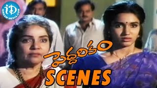 Peddarikam Movie Scenes  Jagapathi Babu Fight With Sukanyas Family  Bhanumathi  AM Rathnam [upl. by Deppy]