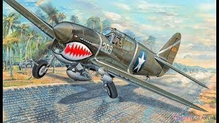 Trumpeter 132 P40F Warhawk Review [upl. by Hurwitz]