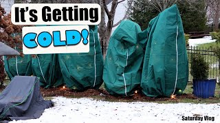 Protecting Plants From Cold  Saturday Vlog [upl. by Noxid932]