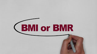 Quick and Easy way to calculate BMI and BMR  TOTAL CALORIE INTAKE  Hindi [upl. by Rawna902]