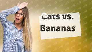 Do cats hate the smell of bananas [upl. by Darees]