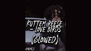 Kuttem Reese  Love Birds Slowed SLOWED [upl. by Dante]