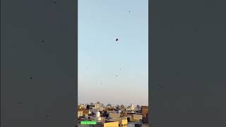 kites flying [upl. by Ahsehat761]