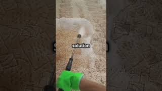 Best Way to Deep Clean Your Carpet Remove Dirt and Microbes [upl. by Annaul]