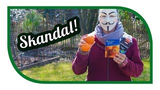 Skandal im Gartengemüsekiosk 🍼 Milch ist Gift und Erdorangen 🍊 milchistgift GARTENLEAKS [upl. by Golanka965]