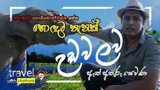 Travel With Chathura  නිවාඩුවට පොඩ්ඩොත් එක්ක යන්න හොදම තැනක්  උඩවලව ඇත් අතුරු සෙවණ [upl. by Noxas]