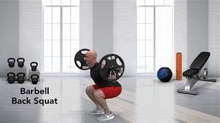 How to do a Barbell Back Squat [upl. by Auhs280]