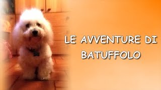 Le avventure di Batuffolo  Che vita da cani [upl. by Zadack683]