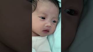 New baby born in welcome life  trending cutebaby shortvideo shorts twitch viralvideo videos [upl. by Ailama]