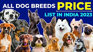 All Dog Breeds And Their Price 2024  German Shepherd  Rottweiler  Labrador  Pug  Beagle  Husky [upl. by Layap]