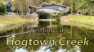 Hogtown Creek  Fishing in Gainesville Florida behind a Chevron Gas Station Bass Near UF [upl. by Latonia616]