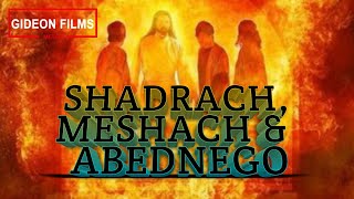 Shadrach Meshach and Abednego in the Fiery Furnace  The Image of Gold and the Blazing Furnace [upl. by Henderson531]