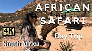 African Safari 4K Our Awesome Experience of the Big 5 Safari Safari Day Trip Close To Cape Town [upl. by Tiemroth562]