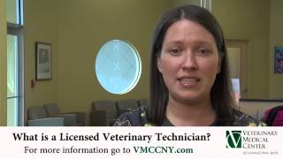 What is a Licensed Veterinary Technician [upl. by Crissie669]