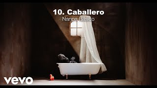 Nanpa Básico  Caballero Visualizer [upl. by Rip802]