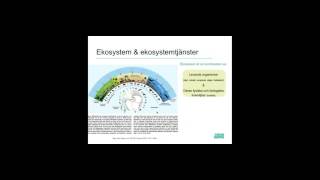 Grundkurs i ekosystemtjänster [upl. by Radbun]