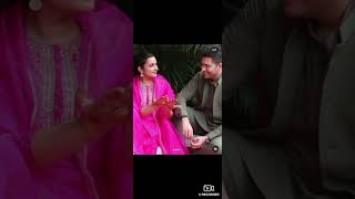 Parineeti And Ragav karwa Chauth [upl. by Yecad]