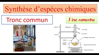 Synthèse des espèces chimique tron commun scientifique [upl. by Fairleigh661]